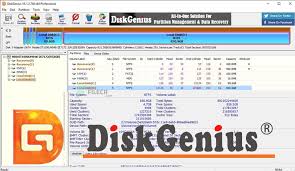 DiskGenius Professional 5.4.6.1441 Crack With Serial Key Download 2023